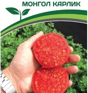 Томат МОНГОЛ КАРЛИК