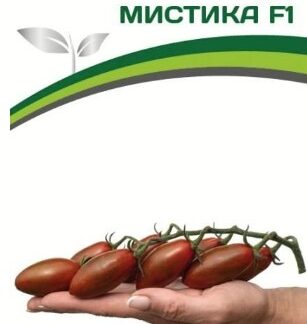 Томат МИСТИКА F1