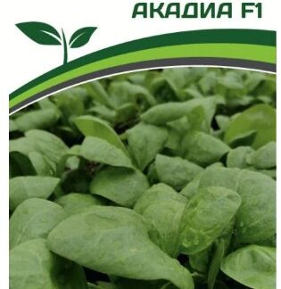 Шпинат АКАДИА F1