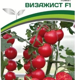 Томат ВИЗАЖИСТ F1