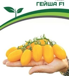 Томат ГЕЙША
