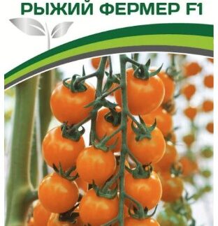 Томат РЫЖИЙ ФЕРМЕР F1