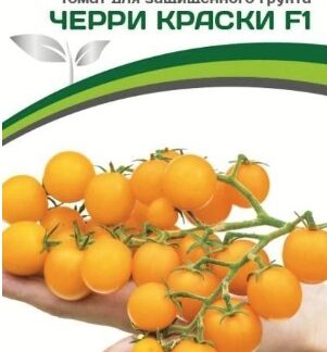 Томат ЧЕРРИ КРАСКИ F1