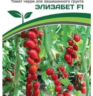 Томат ЧЕРРИ ЭЛИЗАБЕТ F1