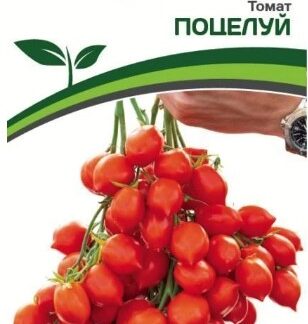 Томат ПОЦЕЛУЙ