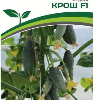 Огурец КРОШ F1
