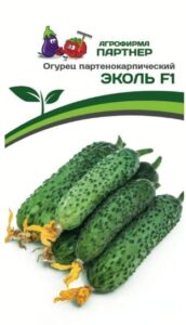 Огурец ЭКОЛЬ F1