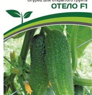 Огурец ОТЕЛО F1