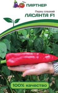Перец Ласанта F1