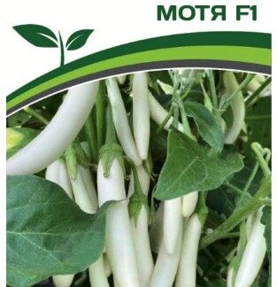 Баклажан МОТЯ F1