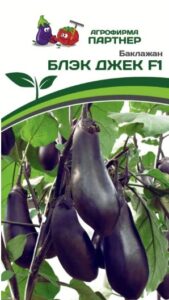 Баклажан БЛЭК ДЖЕК F1