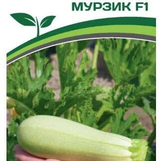 Кабачок МУРЗИК F1