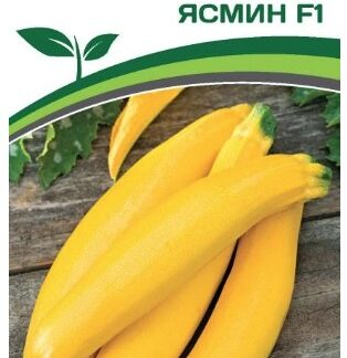 Кабачок ЯСМИН F1