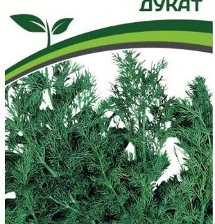 Укроп ДУКАТ