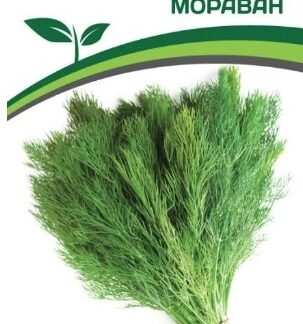 Укроп МОРАВАН