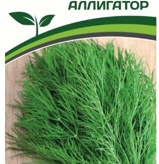 Укроп Аллигатор Партнер