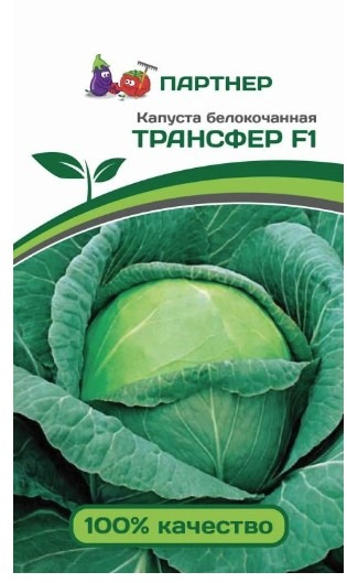 Капуста белокачанная Трансфер F1