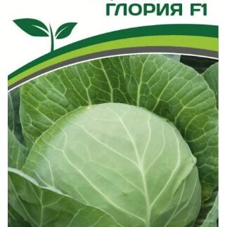 Капуста белокачанная  Глория F1