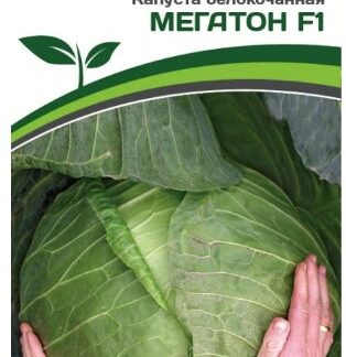 Капуста белокачанная  Мегатон F1