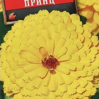 Календула Золотой принц