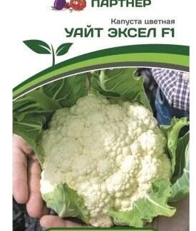 Капуста цветная УАЙТ ЭКСЕЛ F1