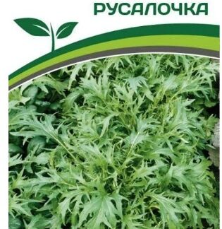 Капуста японская РУСАЛОЧКА