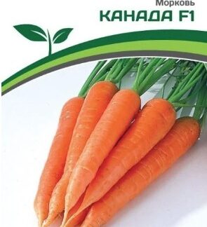 Морковь КАНАДА F1