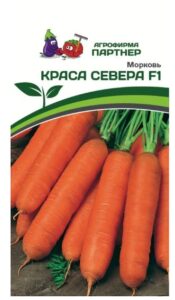 Морковь КРАСА СЕВЕРА F1