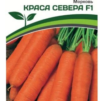 Морковь КРАСА СЕВЕРА F1