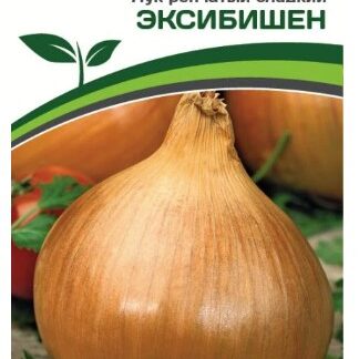 Лук репчатый ЭКСИБИШЕН