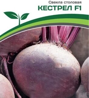 Свекла столовая КЕСТРЕЛ F1