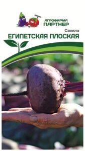 Свекла ЕГИПЕТСКАЯ ПЛОСКАЯ