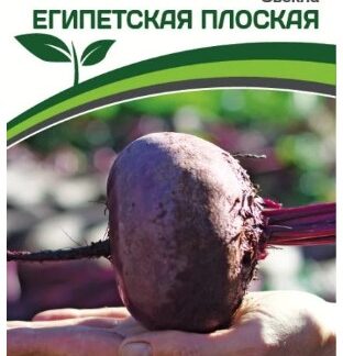 Свекла ЕГИПЕТСКАЯ ПЛОСКАЯ