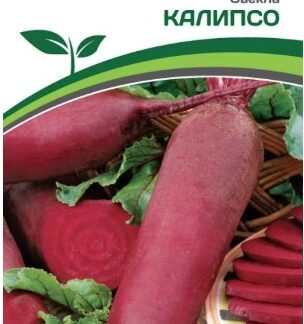 Свекла КАЛИПСО
