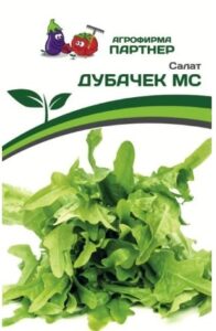 Салат листовой ДУБАЧЕК МС