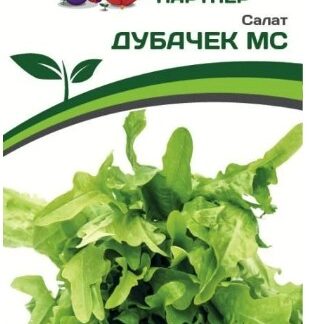 Салат листовой ДУБАЧЕК МС
