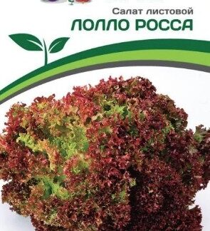 Салат листовой ЛОЛЛО РОССА