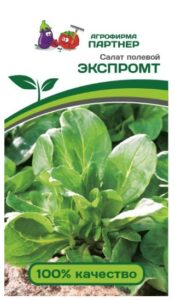 Салат полевой ЭКСПРОМТ