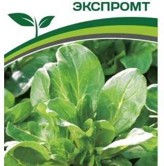 Салат полевой ЭКСПРОМТ