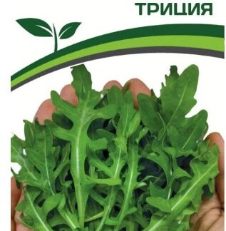 Рукола ТРИЦИЯ