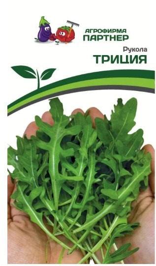 Рукола ТРИЦИЯ