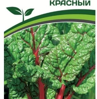 Мангольд КРАСНЫЙ