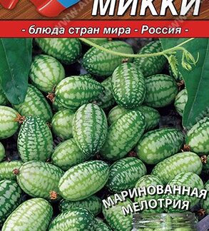 Мелотрия (Мышиная дыня) Микки