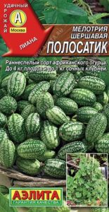 Мелотрия (Мышиная дыня) Полосатик
