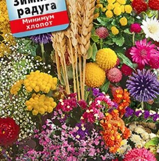 Смесь сухоцветов Зимняя радуга