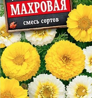Хризантема увенчанная Махровая, смесь сортов