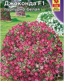 Петуния Джоконда F1 пурнурно- белая