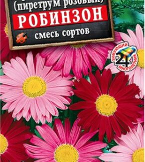 Персидская ромашка Робинзон, смесь сортов