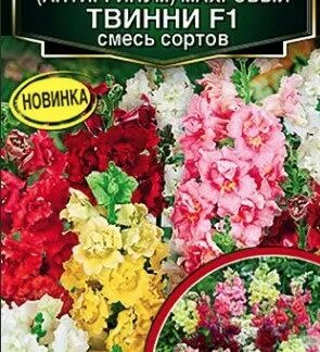 Львиный зев махровый Твинни F1, смесь окрасок