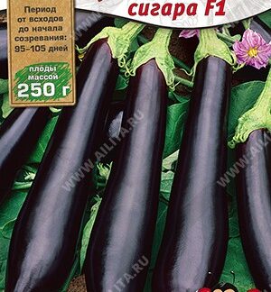 Баклажан Кубинская сигара F1